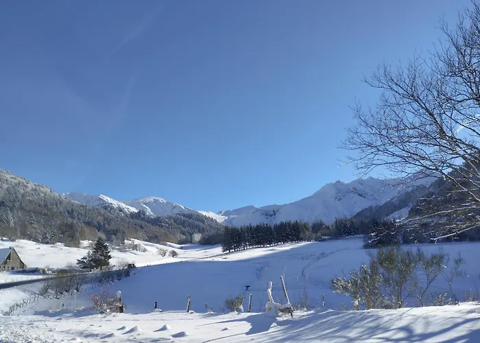 Apartament A1 Dore 63240