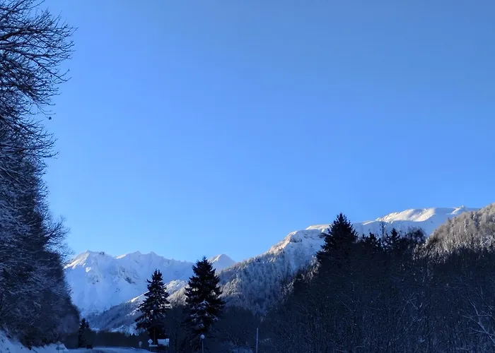 A1 Dore 63240 Apartament Mont-Dore